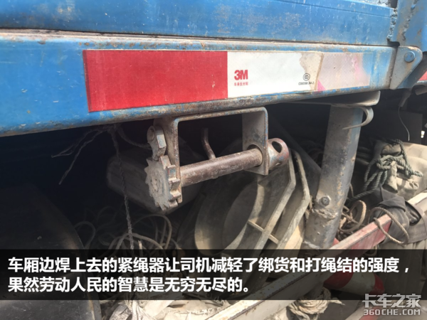 走南闯北十五年 如今天龙见到它都得叫“大爷”