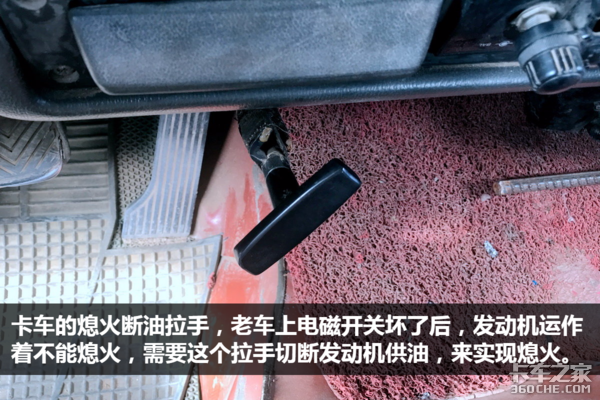 走南闯北十五年 如今天龙见到它都得叫“大爷”