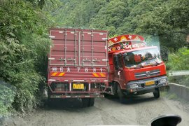 撞死藏香猪赔偿2万元 老司机在西藏开车的那些事