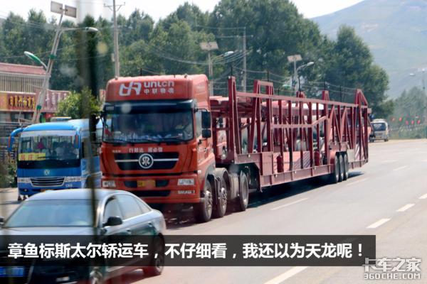 �����������ʺ�&nbsp;����������˧���Ŀ���