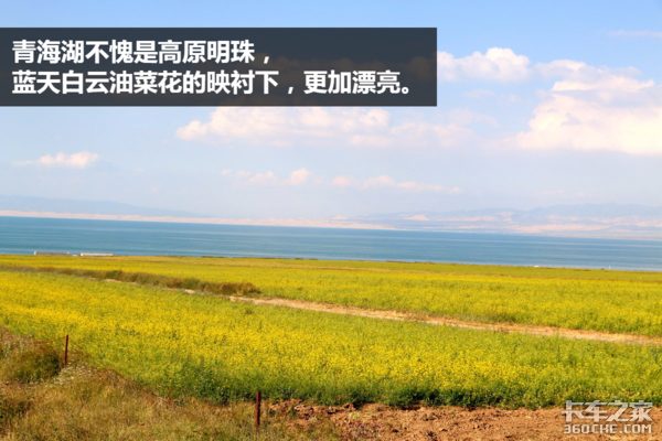 �����������ʺ�&nbsp;����������˧���Ŀ���