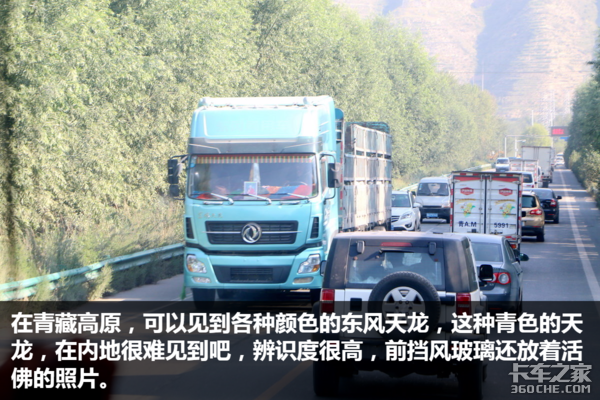 �����������ʺ�&nbsp;����������˧���Ŀ���