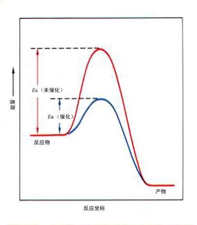 在上图中催化剂的加入只是改变化学反应的活化能,让反应物到产物所需