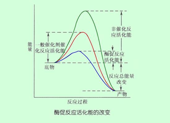 青年卡车加水就能跑  你们说这是真的吗