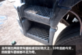 天龙的大哥还好吗? 实拍11年四桥紫罗兰