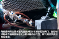 天龙的大哥还好吗? 实拍11年四桥紫罗兰