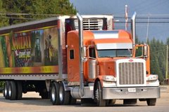 ��ϲ���ĳ�ͷ���������ˣ����ô󿨳�����