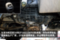 自重9吨搭载16升动力 庆铃巨咖到店实拍