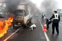 �����Ϸ����¹���ô�죿����Ļᱨ����