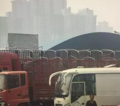 �����󣬱��ͻ���˾����15�����������ʧ