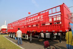 13�׹ҳ����ؽ�5.3�� ���ֳ��������