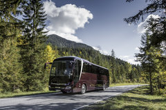 ��������Lion��;�ͳ�Ӯ�����������