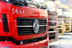 �����������Ļ� 