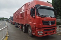 ֱ��8ǧ ���ݶ�������9.6�ײ���������