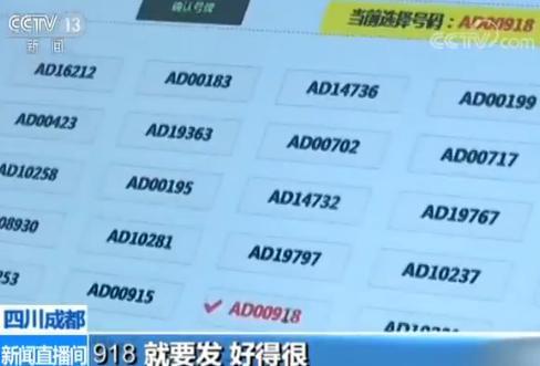 新能源车配专用车牌 明年内全国都将启用