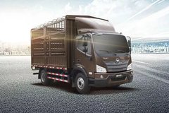 ���������֡����������� ���������