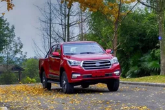 ���������߶�Ƥ���г� ����TAGA��������