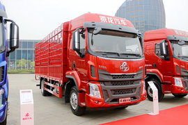 高顶双卧6米8，220马力8挡变速箱 你期待的车型来啦！