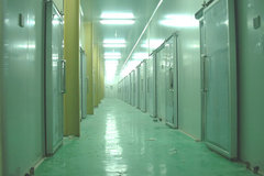 �޸�ʳƷ�������Ѵ� ��׼�ƶ��ǵ�һ��