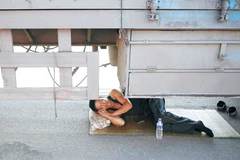 ֻ������