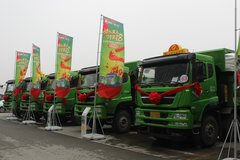 ����ɫ���� ����18���γ���˹̫���ƽ��