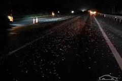 ������·Ʈ������  ��ʮ������������̥