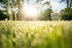 ������ʱ������ֽ����������