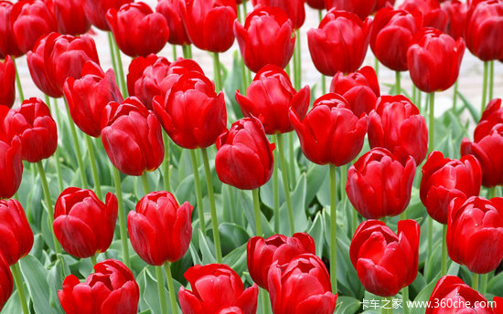 �������˺�ŵ��֮��&nbsp;�����¹�&nbsp;����ŷ��