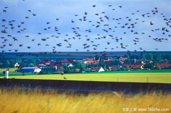 �������˺�ŵ��֮��&nbsp;�����¹�&nbsp;����ŷ��