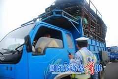 �����γ��죺