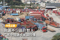 货源不少运价愁人 广东中短途卡友访谈