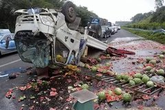 ���ٱ�̥������Լ100%����Щ��ʶ���붮