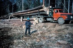 ����˾���ĻԻ��롰û�䡱���㾭������