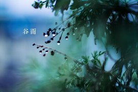 【福田瑞沃】节气说｜谷雨时节，春远夏至