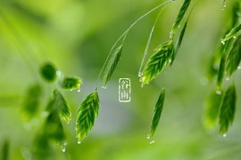 节气说｜谷雨时节，我们应该做点啥？