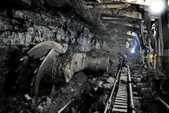 �ټ���������3000��� ú̿����1.5�ڶ�