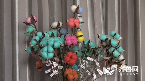 ����˾��ת�����޻�����&nbsp;�����۶�4��Ԫ