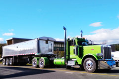 ������������������ �����Ǽ��Ƶ�һ��