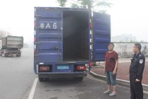 ڰ˹׹ С