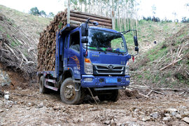四驱解决山地运输难题，重汽豪曼已成拉木专用车