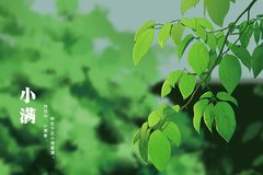 ����ʱ������˵��С��С����С��ӯ��