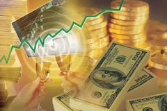 �㲻����Ӧ���˿�ֻ�����ϰ���ͷ�ۣ�