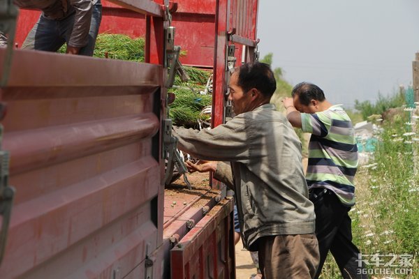 ����˾��������(84)������ɼ�����Ӯ��