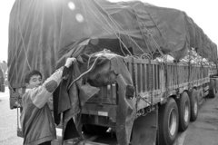 �ɳ������� �󿨳����ٶ�150�����֬��