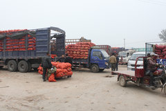 �����˳������ý��廷�������������