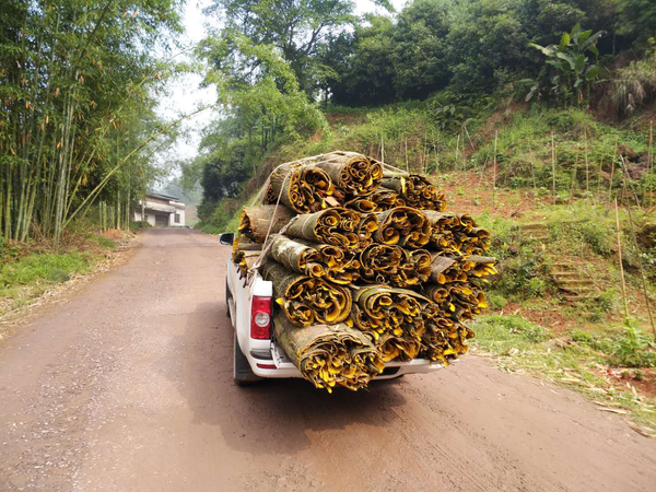 ��ҩ����Ӻҫ���뽭��Ƥ�������Ҹ���ҵ