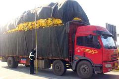 ���ϴ�����س��� �ϲ�Ƿ���װ������