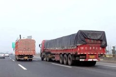 Ϋ�����������λ�������������Υ����Ϊ