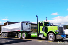 ��������˾�����ض�ȱ  5��ȱ�ڴ��¸�