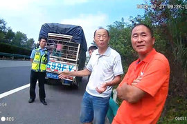 货车厢秒变“动物园” 司机非法运输野生动物被逮